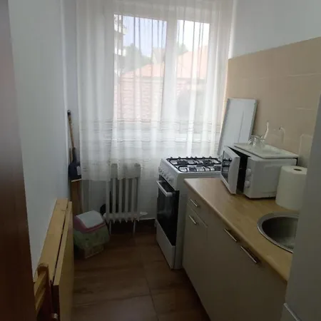 Apartment Apartament Maria Timisoara